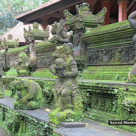 Zen Premium Nyuh Bojog Ubud Luaran gambar