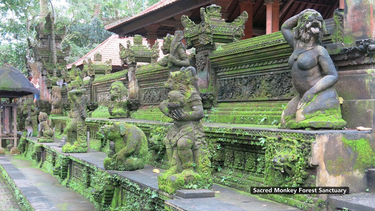 Zen Premium Nyuh Bojog Ubud Luaran gambar